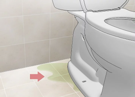 leak25.png