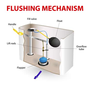 plumbing9.png